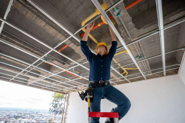 Best Commercial Plumbing Services  in Eureka, IL