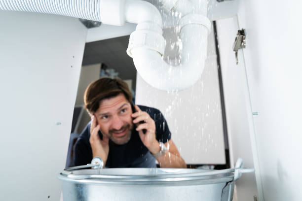 Best Faucet Repair  in Eureka, IL